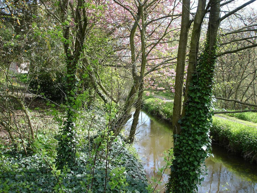 Les Vallees Du Guyoult Dol-de-Bretagne Zewnętrze zdjęcie