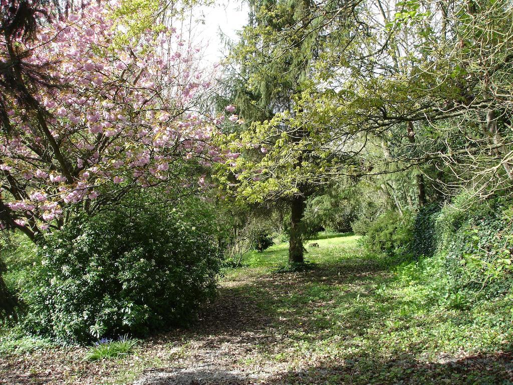 Les Vallees Du Guyoult Dol-de-Bretagne Zewnętrze zdjęcie
