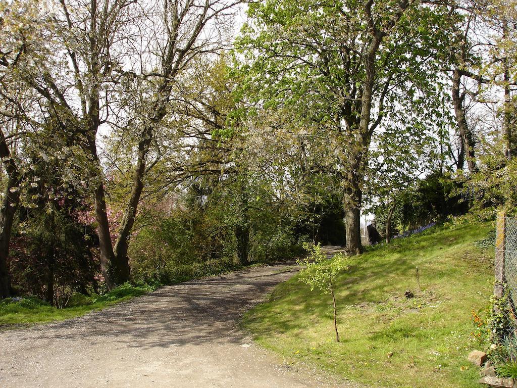 Les Vallees Du Guyoult Dol-de-Bretagne Zewnętrze zdjęcie